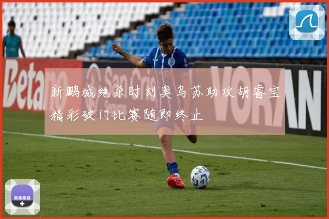 新鹏城绝杀时刻奥乌苏助攻胡睿宝精彩破门比赛随即终止